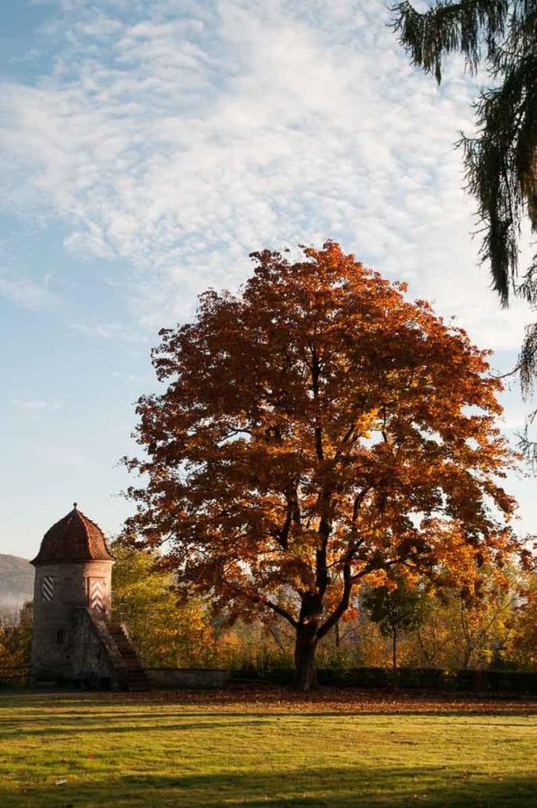 Zimmervermietung Vock Eschwege Exteriér fotografie